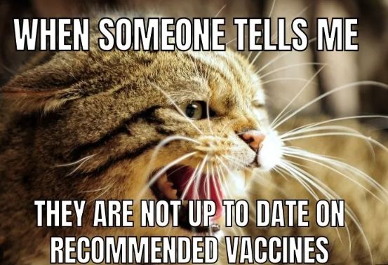 WHEN SOMEONE TELLS ME
THEY ARE NOT UP TO DATE ON
RECOMMENDED VACCINES