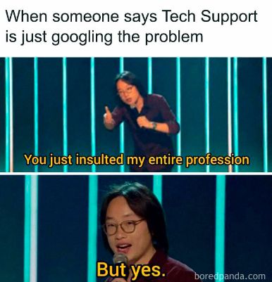 When someone says Tech Support
is just googling the problem
You just insulted my entire profession
D
But yes.
boredpanda.com