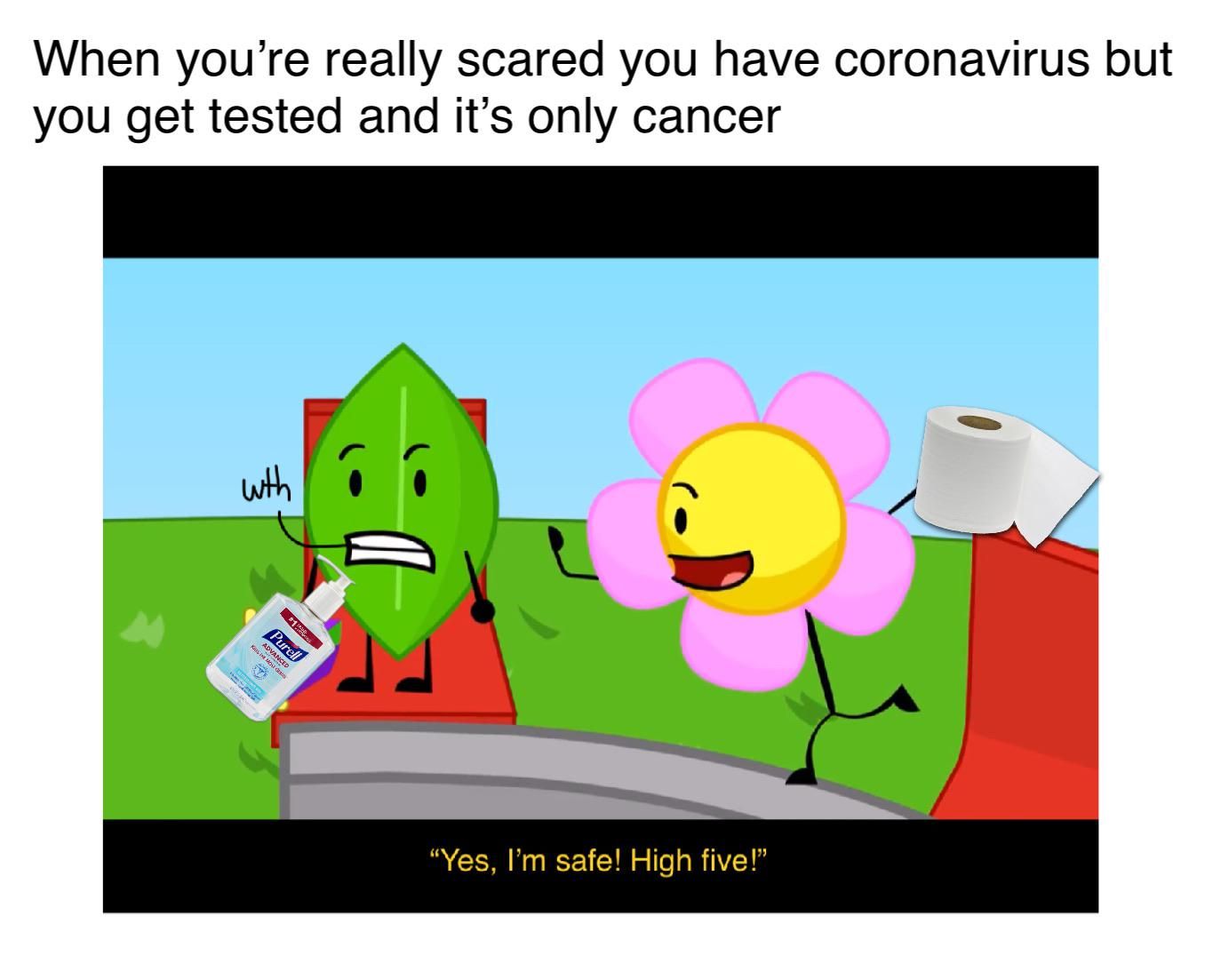 When you're really scared you have coronavirus but
you get tested and it's only cancer
wth
M
Purell
MOST G
"Yes, I'm safe! High five!"