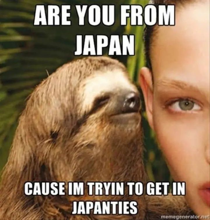 ARE YOU FROM
JAPAN
CAUSE IM TRYIN TO GET IN
JAPANTIES
memegenerator.net