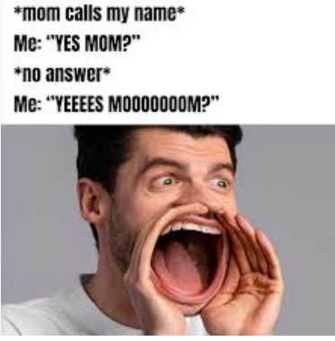 *mom calls my name*
Me: "YES MOM?"
*no answer*
Me: "YEEEES MO000000M?"