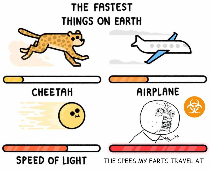 THE FASTEST
THINGS ON EARTH
CHEETAH
AIRPLANE
SPEED OF LIGHT THE SPEES MY FARTS TRAVEL AT