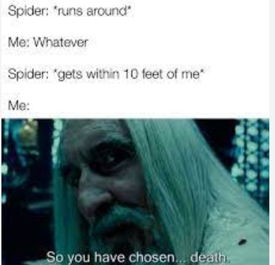 Spider: *runs around"
Me: Whatever
Spider: "gets within 10 feet of me*
Me:
So you have chosen... death.