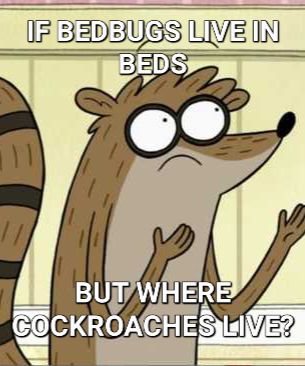 IF BEDBUGS LIVE IN
BEDS
BUT WHERE
COCKROACHES LIVE?