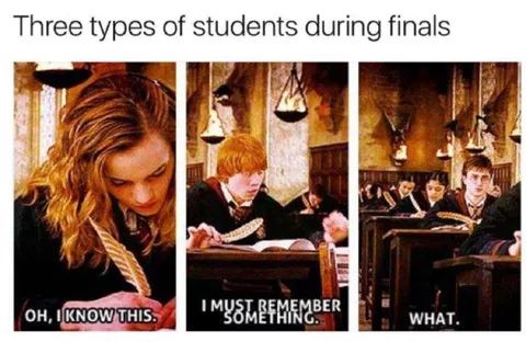 Three types of students during finals
OH, I KNOW THIS.
I MUST REMEMBER
SOMETHING.
WHAT.