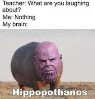 Teacher: What are you laughing
about?
Me: Nothing
My brain:
Hippopothanos