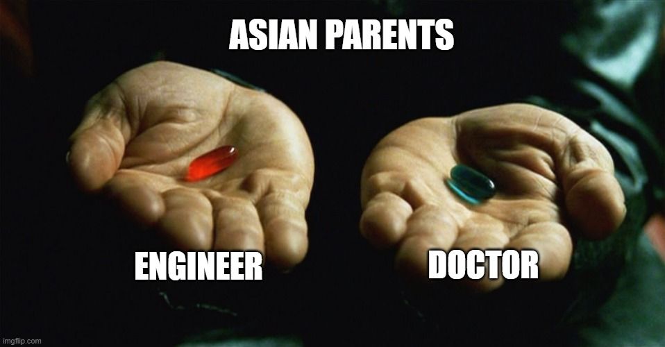 
ASIAN PARENTS
ENGINEER
DOCTOR