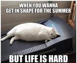 WHEN YOU WANNA
GET IN SHAPE FOR THE SUMMER
BUT LIFE IS HARD