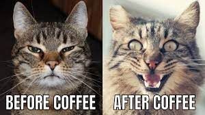 BEFORE COFFEE AFTER COFFEE