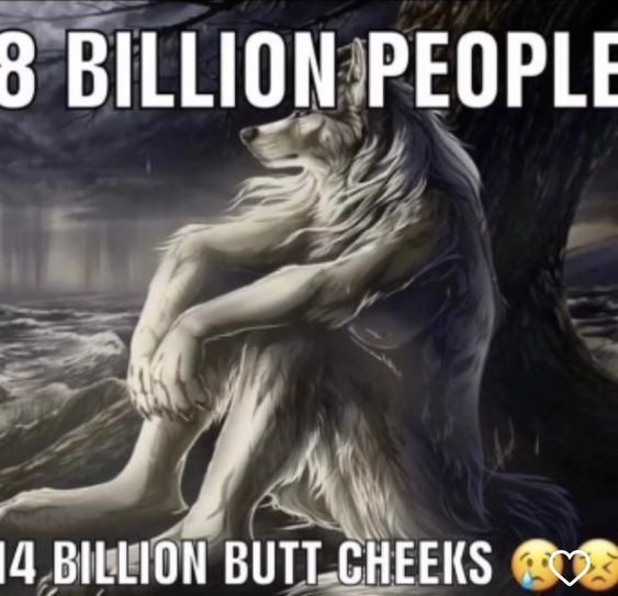 8 BILLION PEOPLE
14 BILLION BUTT CHEEKS