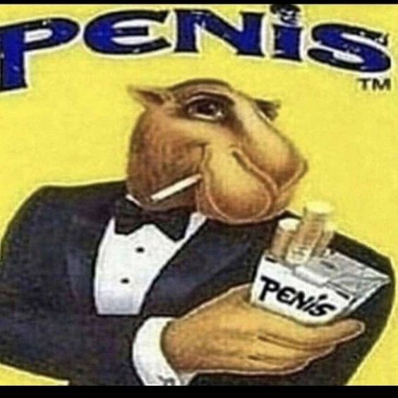 PENIS
PENIS
TM