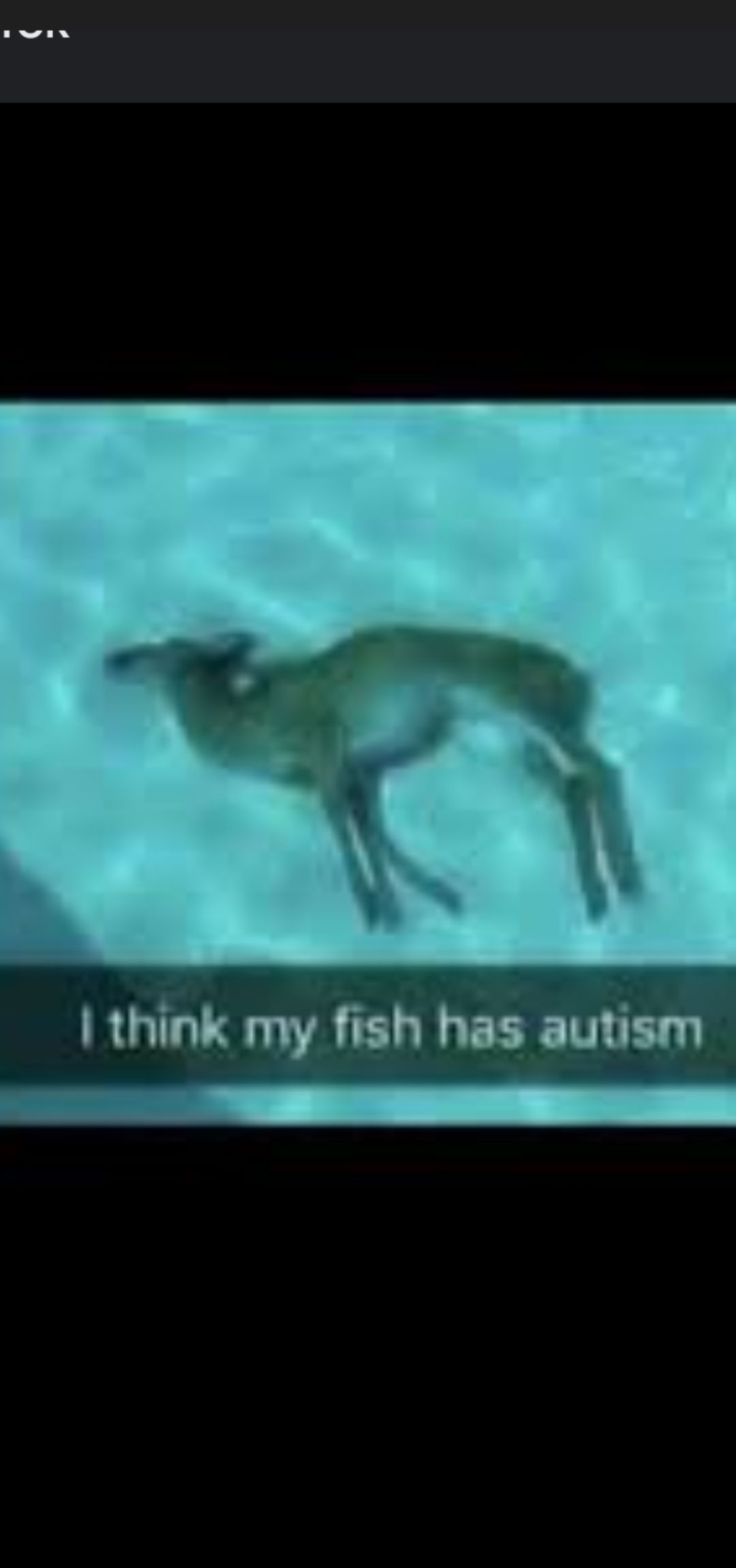 I think my fish has autism