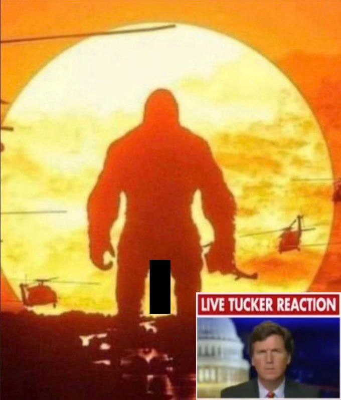 LIVE TUCKER REACTION