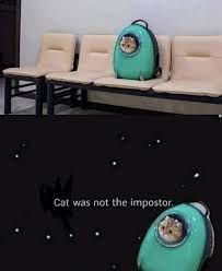 Cat was not the impostor.