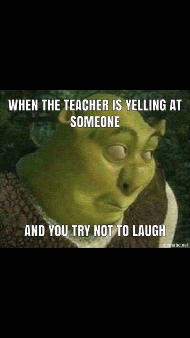 WHEN THE TEACHER IS YELLING AT
SOMEONE
AND YOU TRY NOT TO LAUGH
mematic.net