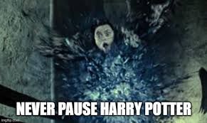 NEVER PAUSE HARRY POTTER