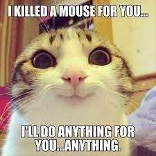 I KILLED A MOUSE FOR YOU...
I'LL DO ANYTHING FOR
YOU...ANYTHING.