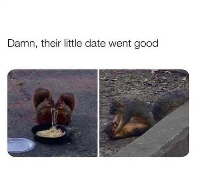 Damn, their little date went good