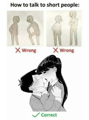 How to talk to short people:
X Wrong
X Wrong
Correct