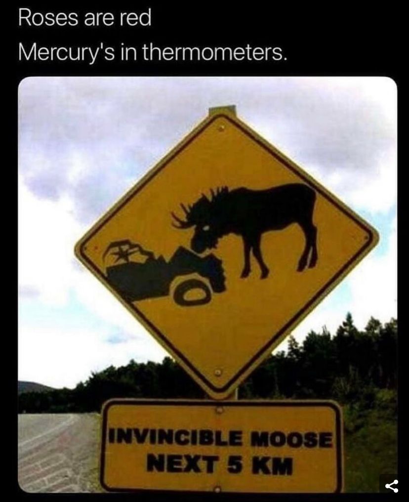 Roses are red
Mercury's in thermometers.
INVINCIBLE MOOSE
NEXT 5 KM