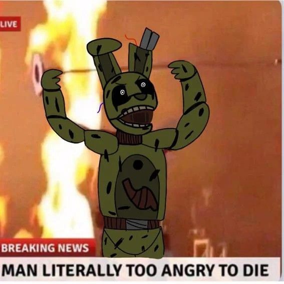 LIVE
BREAKING NEWS
MAN LITERALLY TOO ANGRY TO DIE