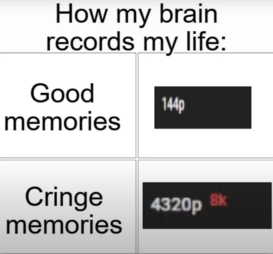 How my brain
records my life:
Good
memories
Cringe
memories
144p
4320p
8k