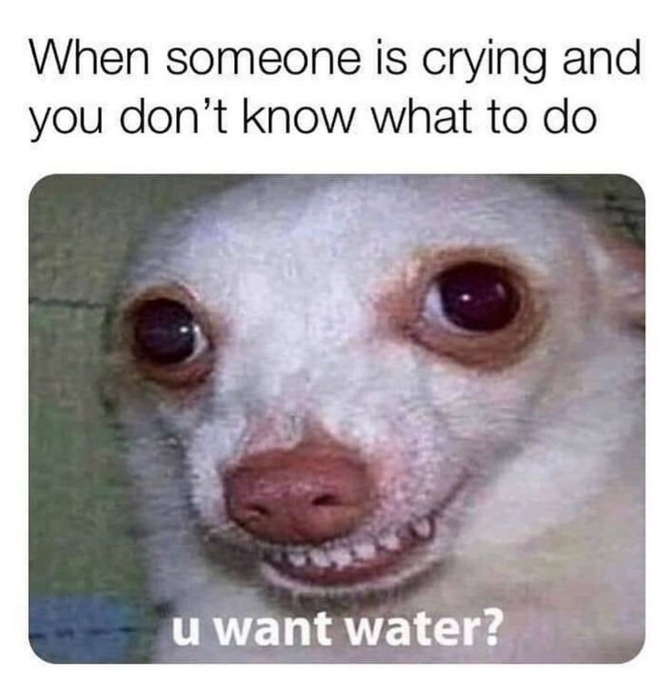 When someone is crying and
you don't know what to do
u want water?