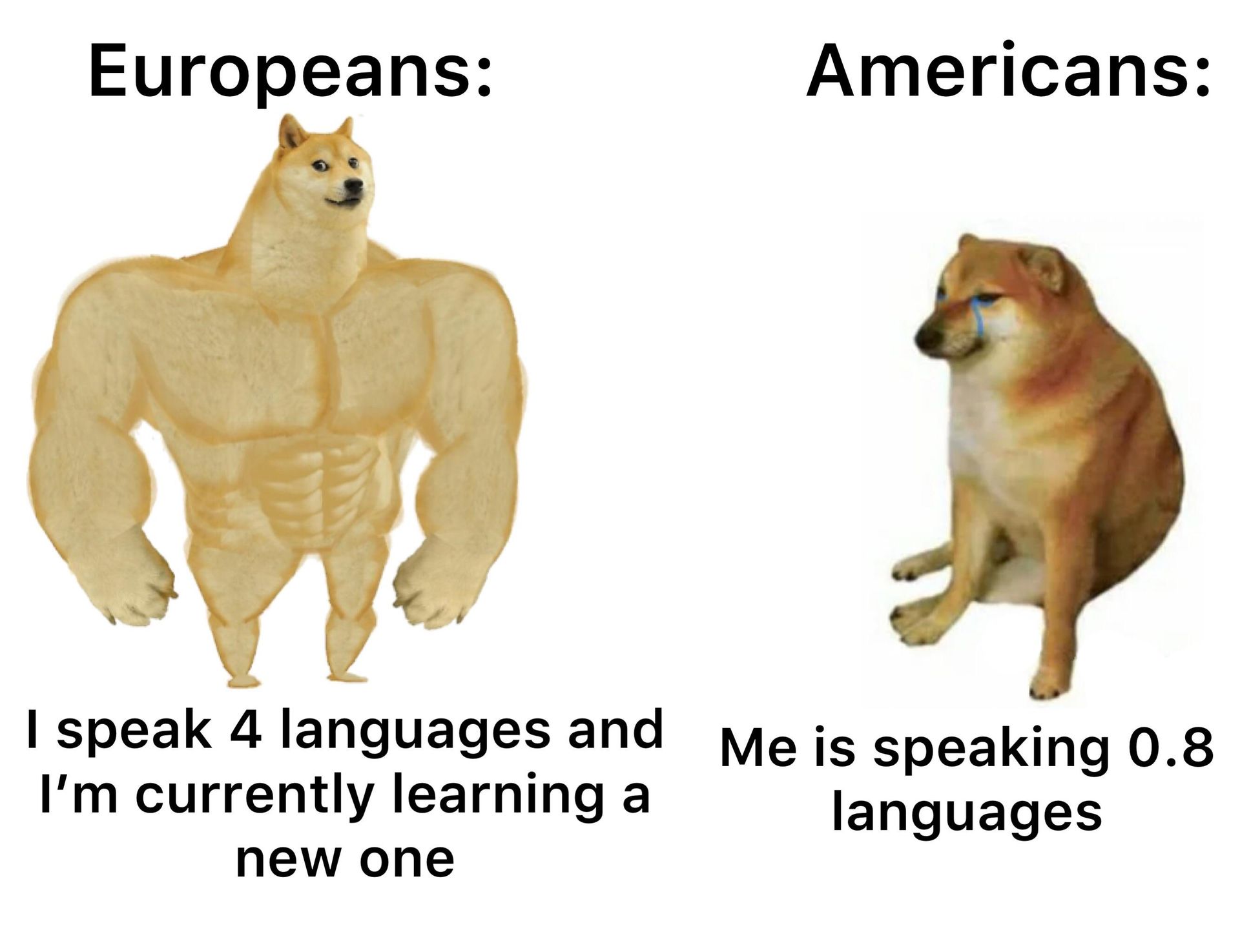 Europeans:
Americans:
I speak 4 languages and Me is speaking 0.8
I'm currently learning a
languages
new one