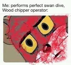 Me: performs perfect swan dive,
Wood chipper operator: