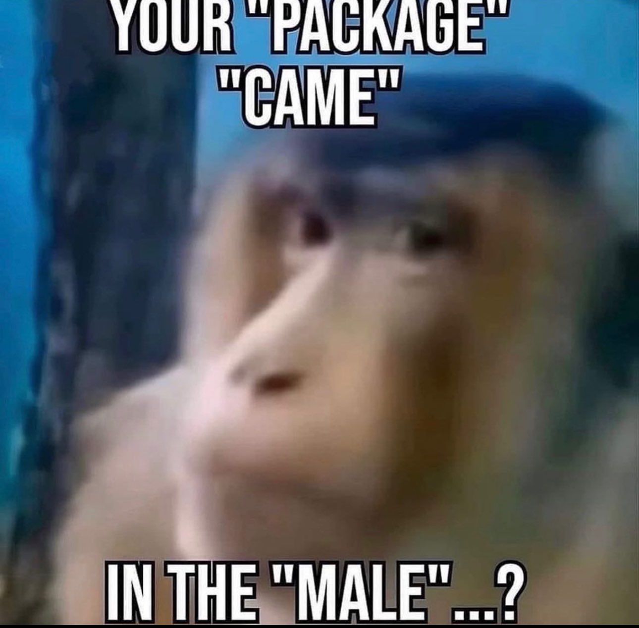 YOUR "PACKAGE"
"CAME"
IN THE "MALE"...?