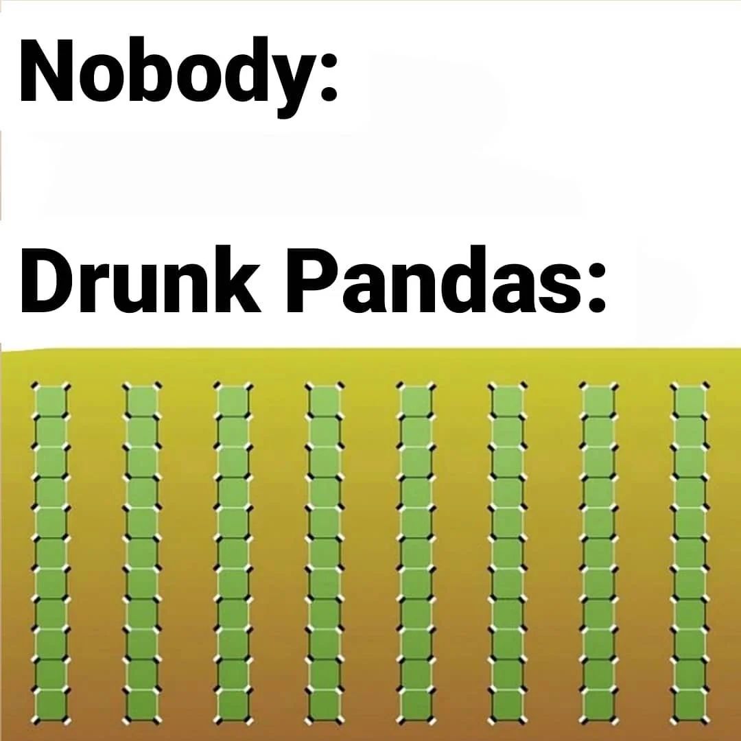 Nobody:
Drunk Pandas: