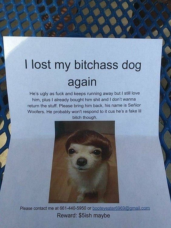 I lost my bitchass dog
again
He's ugly as fuck and keeps running away but I still love
him, plus I already bought him shit and I don't wanna
return the stuff. Please bring him back, his name is Senior
Woofers. He probably won't respond to it cus he's a fake lil
bitch though.
Please contact me at 661-440-5950 or booteveater6969@gmail.com
Reward: $5ish maybe