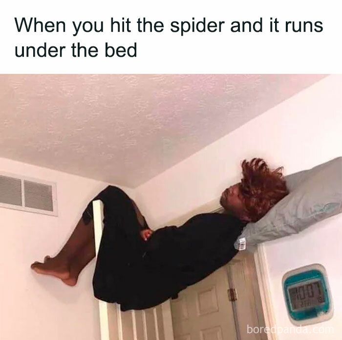 When you hit the spider and it runs
under the bed
7001
boredpanda.com