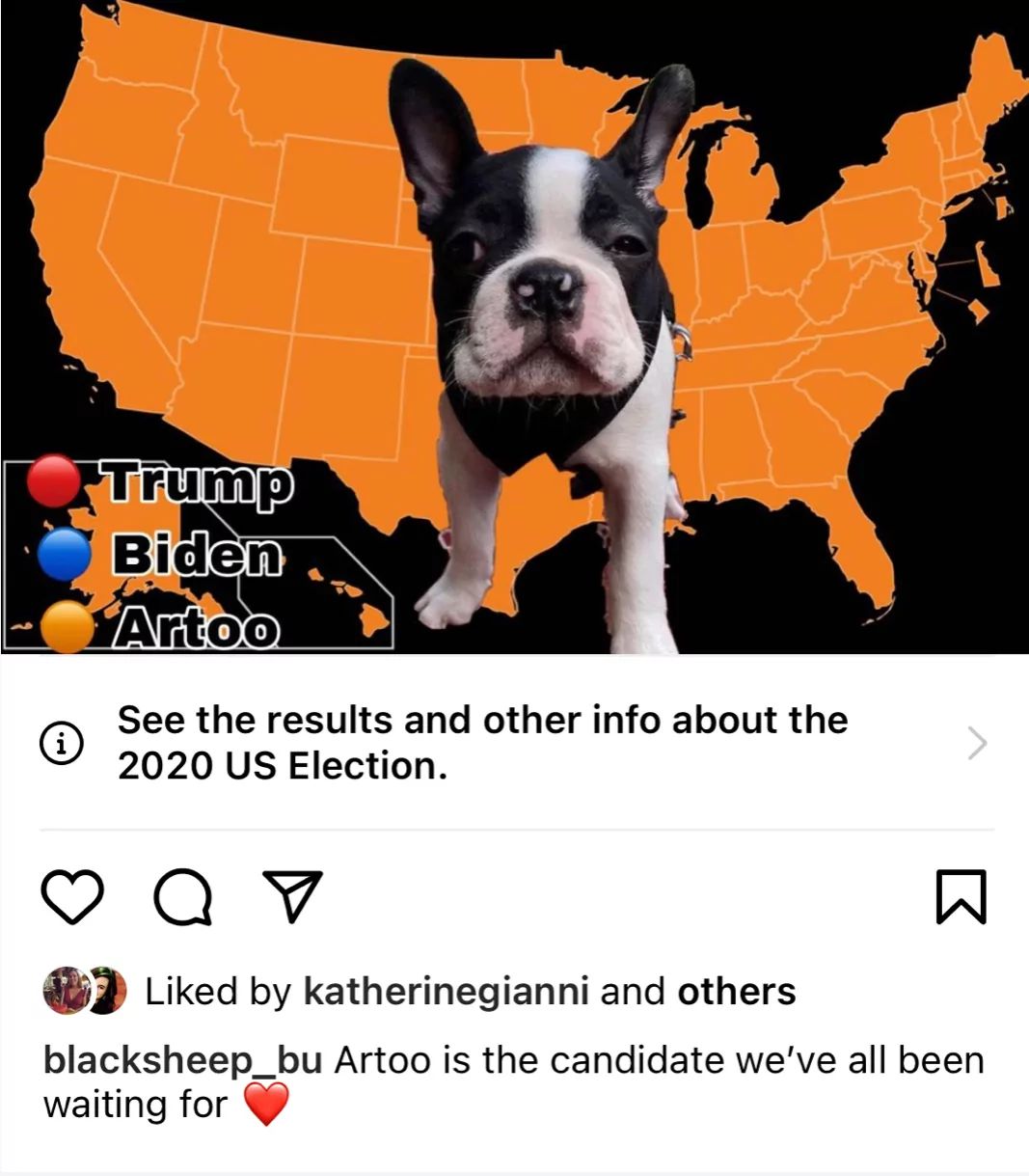 Trump
Biden
Artoo
i
See the results and other info about the
2020 US Election.
Q V
Liked by katherinegianni and others
blacksheep_bu Artoo is the candidate we've all been
waiting for
B