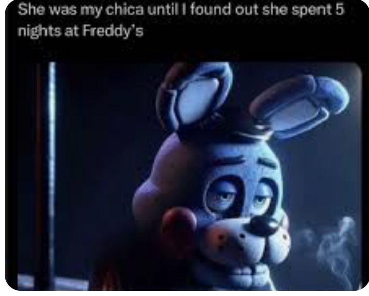 She was my chica until I found out she spent 5
nights at Freddy's