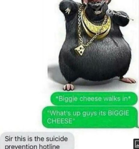 A cartoon rat with gold chains and a diamond pendant is at the top. Below are two green text bubbles saying "*Biggie cheese walks in*" and "What's up guys its BIGGIE CHEESE". Below this is a gray text bubble saying "Sir this is the suicide prevention hotline".