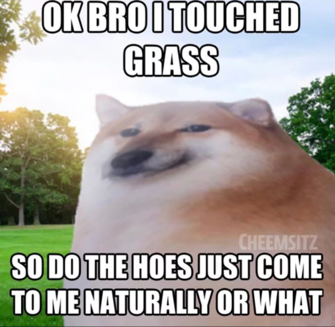 OK BRO I TOUCHED
GRASS
CHEEMSITZ
SO DO THE HOES JUST COME
TO ME NATURALLY OR WHAT