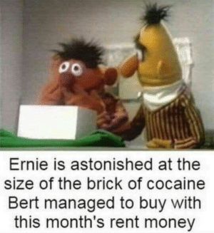 00
Ernie is astonished at the
size of the brick of cocaine
Bert managed to buy with
this month's rent money