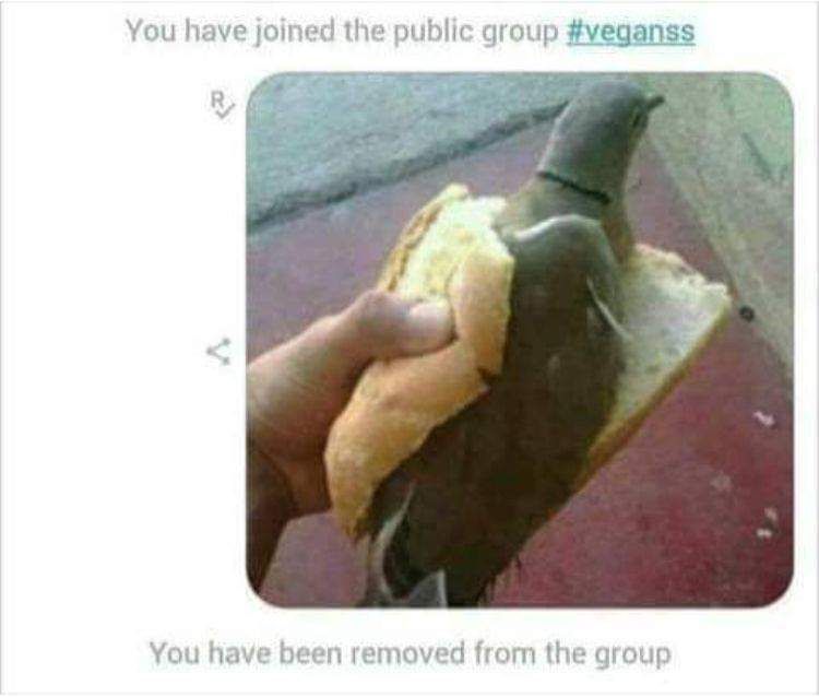 A hand holds a sandwich with a pigeon inside. Text appears above the image saying "You have joined the public group #veganss" and text below the image says "You have been removed from the group".