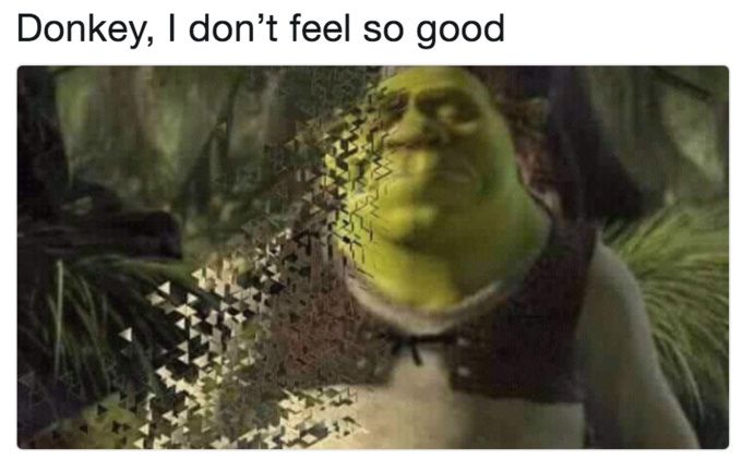 A screenshot of Shrek. Shrek is looking unwell and is partially fading away. The text says "Donkey, I don't feel so good."