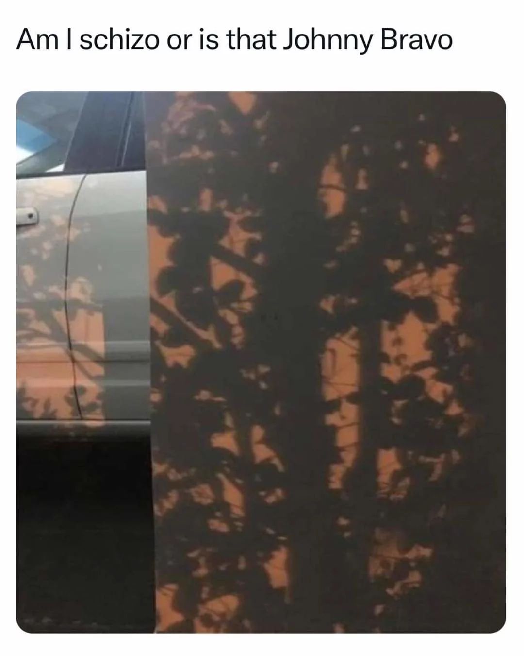 A photo split into two sections, the left side shows the side of a gray car, the right side is the shadow of a tree. The image text reads, "Am I schizo or is that Johnny Bravo?"