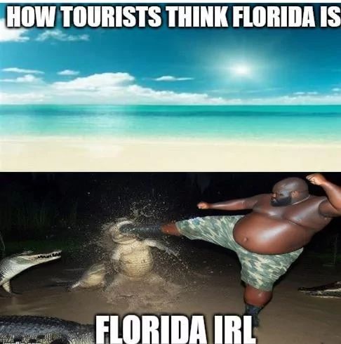 HOW TOURISTS THINK FLORIDA IS
FLORIDA IRL