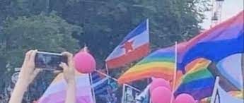 A photo shows a crowd of people holding up various flags, including a Yugoslavian flag, several rainbow flags, and a bi flag. The flags are waving against a backdrop of trees.