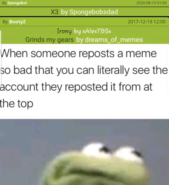 The image shows the text "When someone reposts a meme so bad that you can literally see the account they reposted it from at the top." Below, there's a close-up of Kermit the Frog looking upward with a slightly annoyed or exasperated expression.