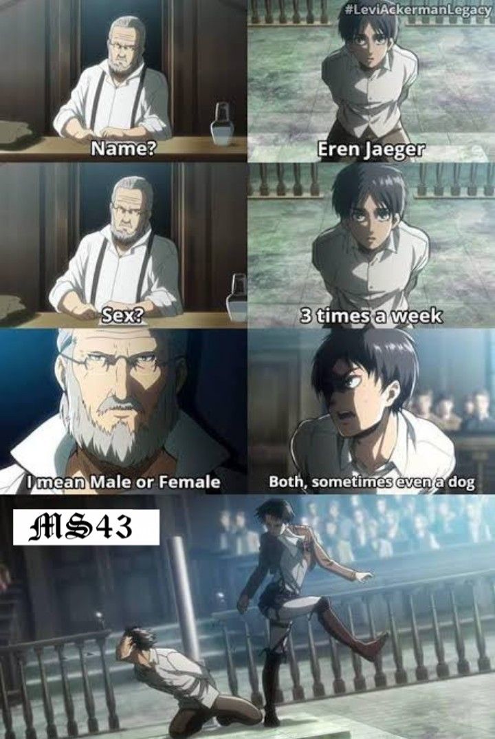 The meme shows a dialogue between two anime characters, one asking the other about their "sex" in an interrogation. The first character says "Name?" then the character replies "Eren Jaeger". The first character continues "Sex?" and the second character replies "3 times a week", the first character then says "I mean Male or Female", the second character finally says "Both, sometimes even a dog". The image finishes with a panel of a character kicking the other.