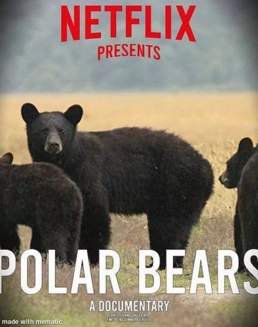 NETFLIX
PRESENTS
POLAR BEARS
made with mematic
A DOCUMENTARY
CIRECTED AND SMILED BY
ME POTASSIUMNITRATEPILED