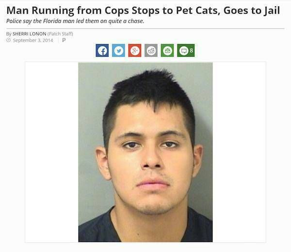 Man Running from Cops Stops to Pet Cats, Goes to Jail
Police say the Florida man led them on quite a chase.
By SHERRI LONON (Patch Staff)
ⒸSeptember 3, 2014 P
8