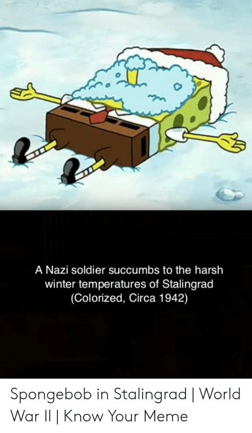 A Nazi soldier succumbs to the harsh
winter temperatures of Stalingrad
(Colorized, Circa 1942)
Spongebob in Stalingrad | World
War II | Know Your Meme