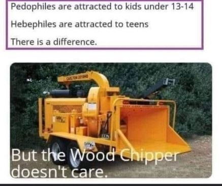 Pedophiles are attracted to kids under 13-14
Hebephiles
are attracted to teens
There is a difference.
TOW 2018ND
But the Wood Chipper
doesn't care.