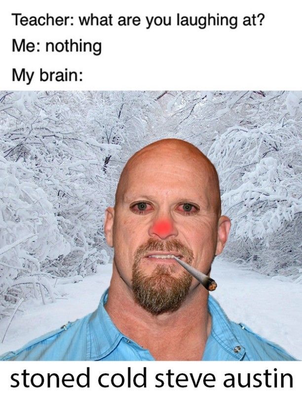 Teacher: what are you laughing at?
Me: nothing
My brain:
stoned cold steve austin